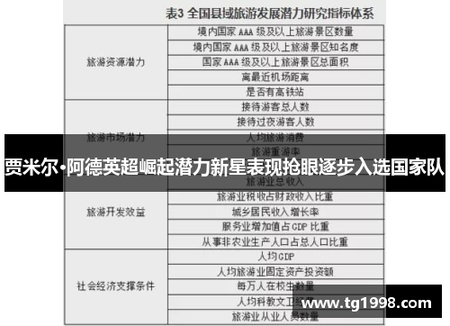 贾米尔·阿德英超崛起潜力新星表现抢眼逐步入选国家队