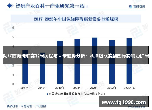 阿联酋海湾联赛发展历程与未来趋势分析：从顶级联赛到国际影响力扩展